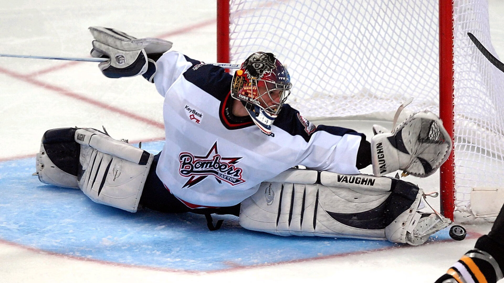 鹈鹕展翅,克莱神射定乾坤—深圳队憾负背后的篮球哲学